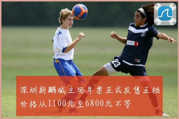深圳新鹏城主场年票正式发售五档价格从1100元至6800元不等